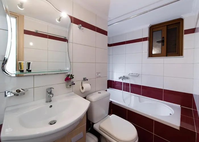 Delphinus Villas-villa Nikitas