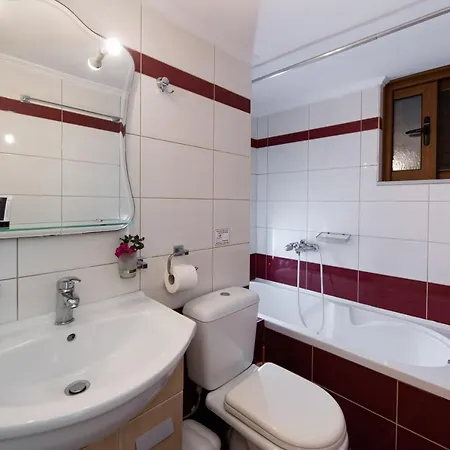 Delphinus Villas-villa Nikitas